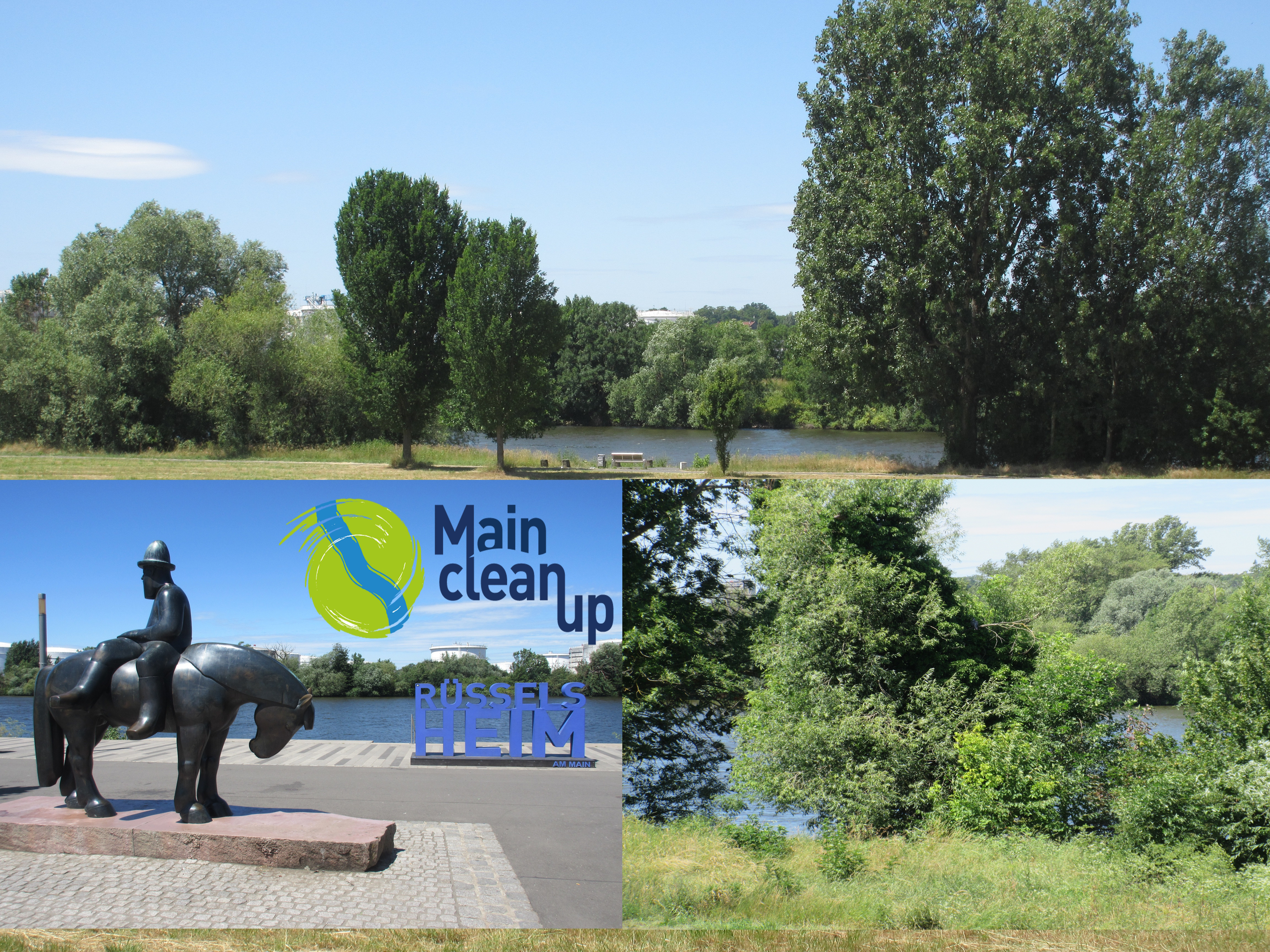 Website Main Clean Up 2025_07_15.jpg