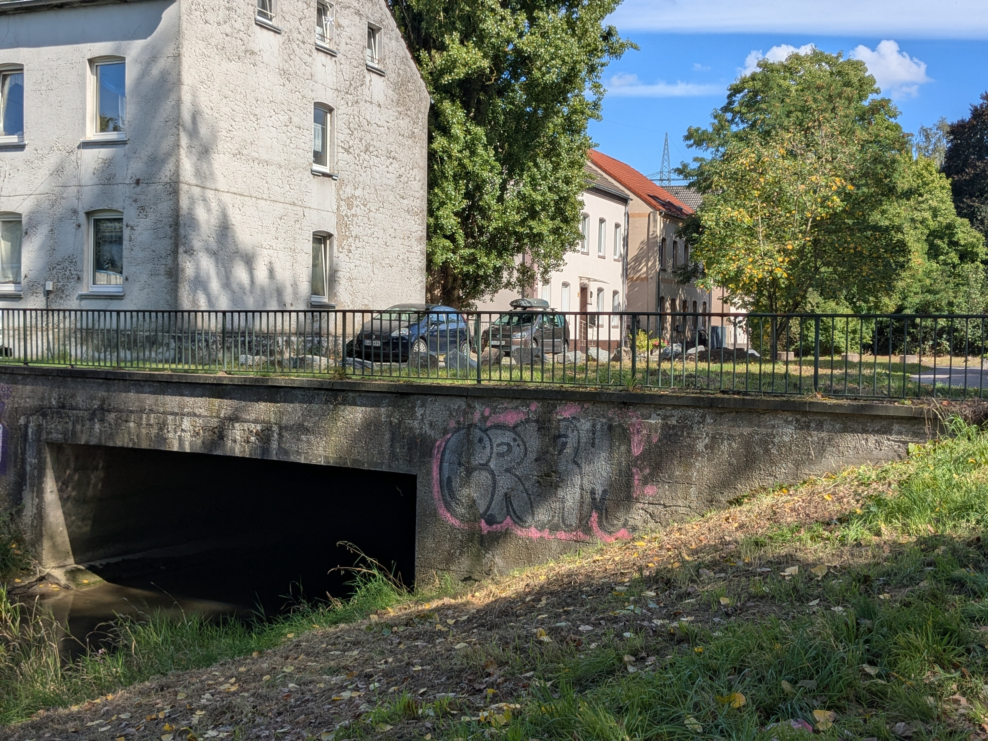 20250906 Treffpunkt Cleanup Duessel Gerresheim BiH.jpg