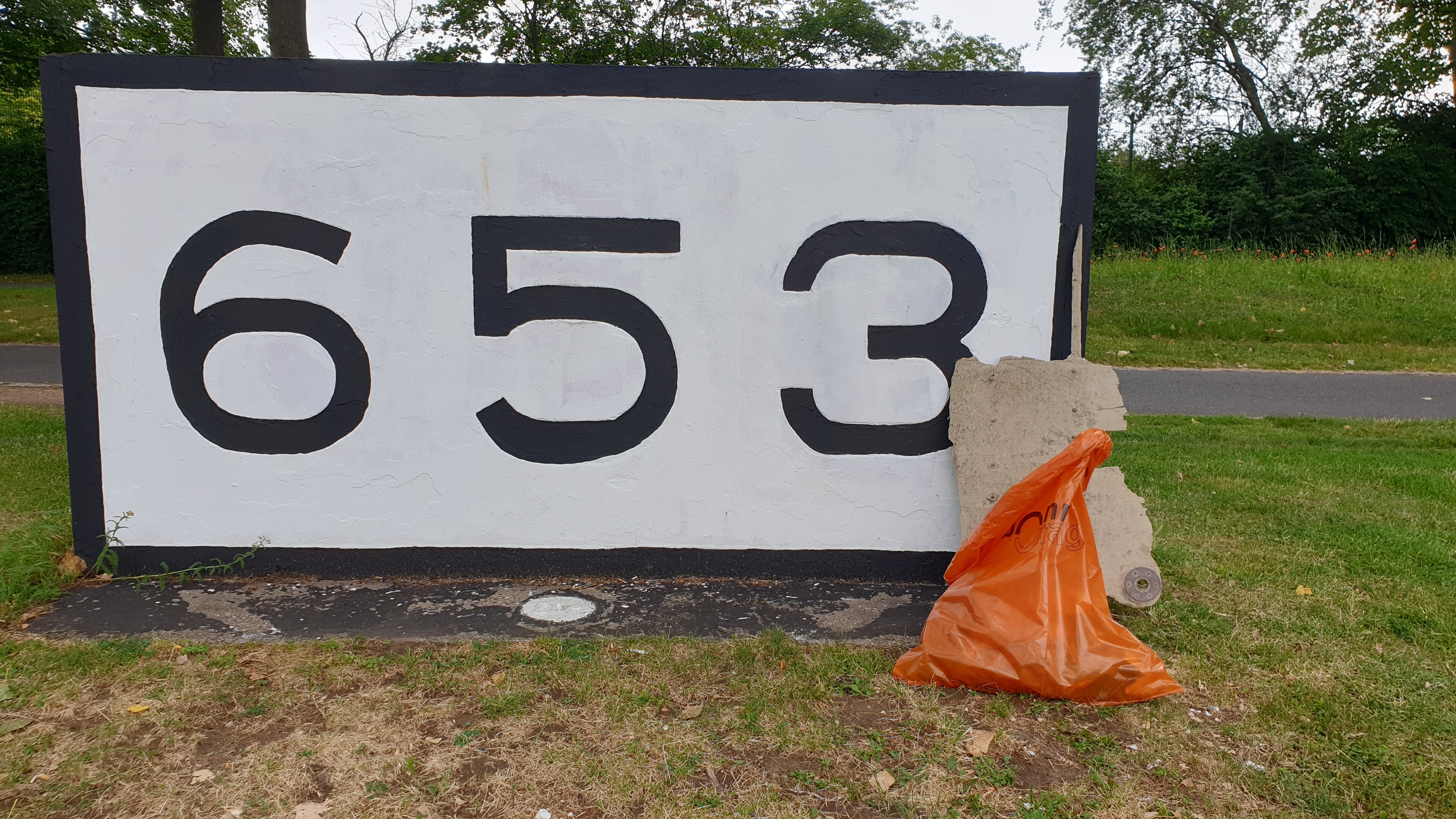 RhineCleanUp km653