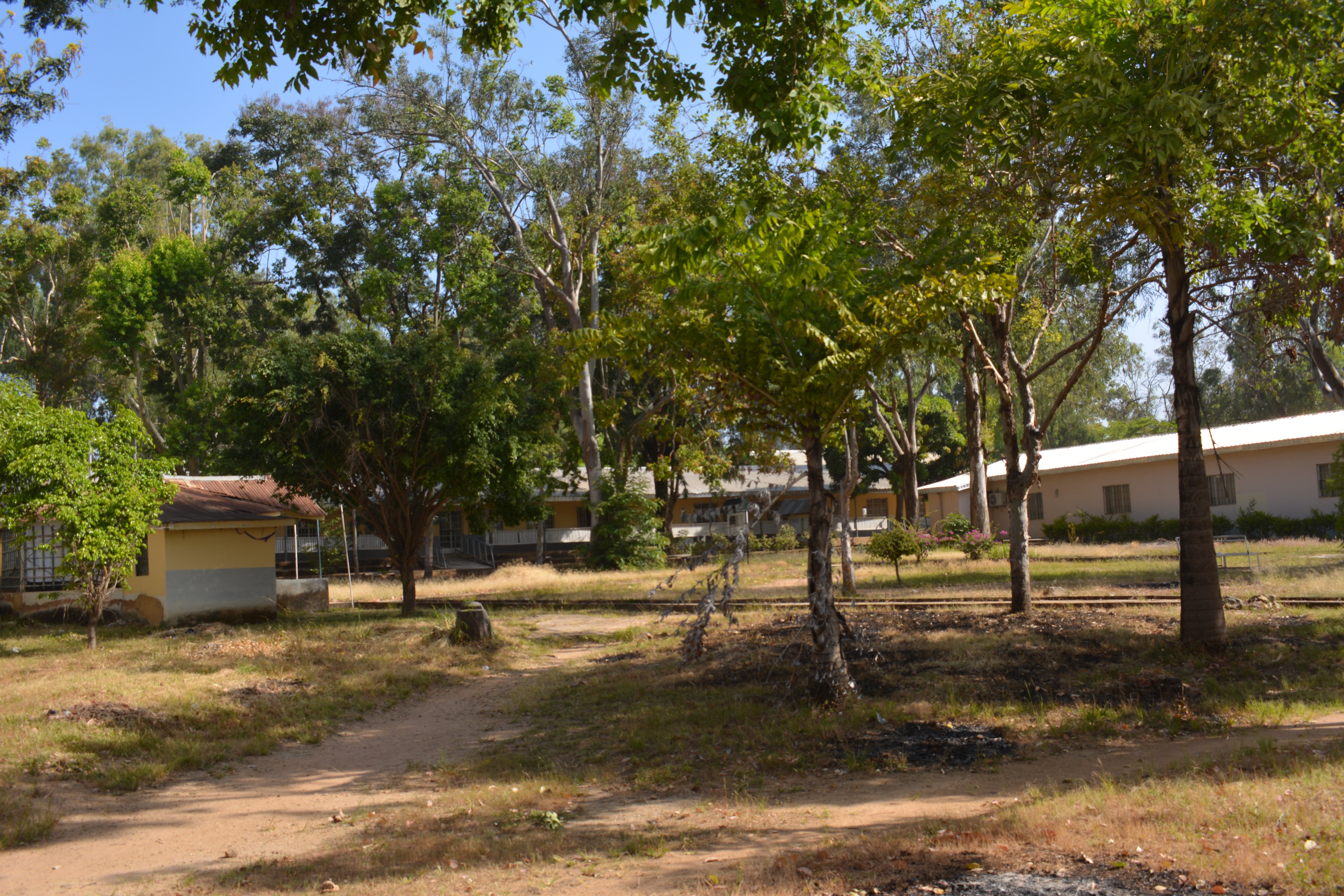 Leave no trace Eco avengers 