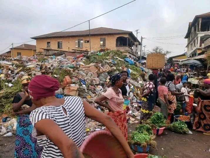 The Makeni Urban Sanitation & Sustainability Initiative.