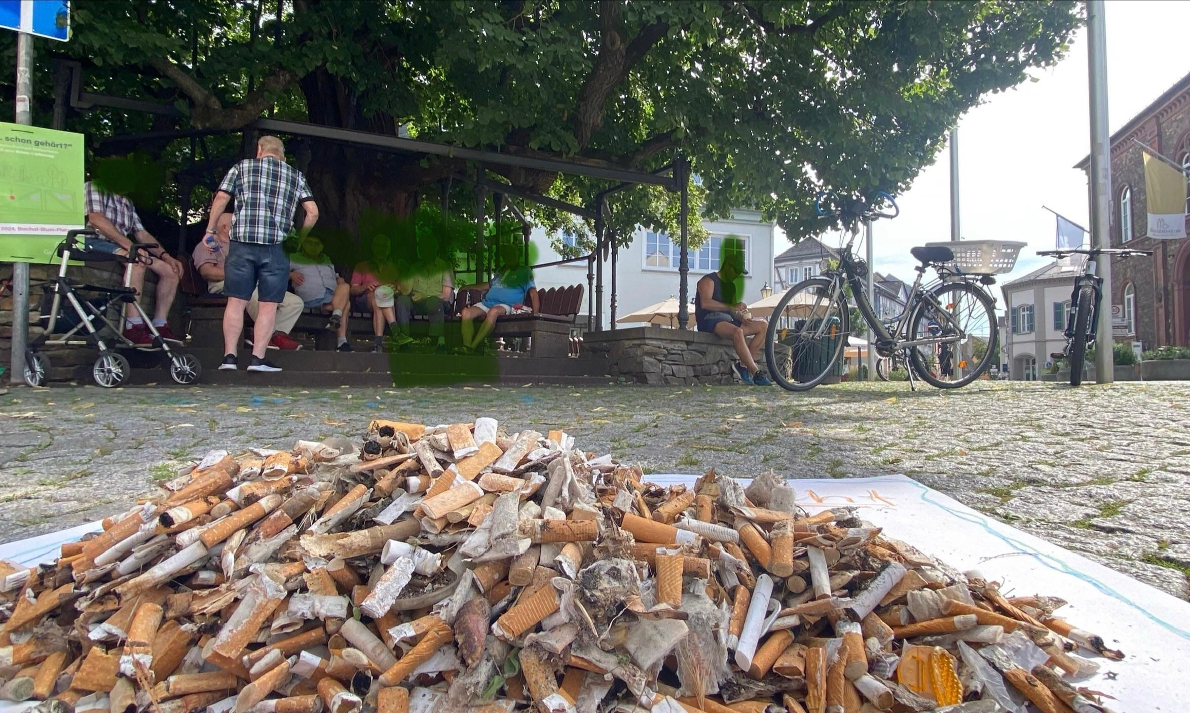 WhatsApp Image 2026-04-14 at 23.16.43.jpg