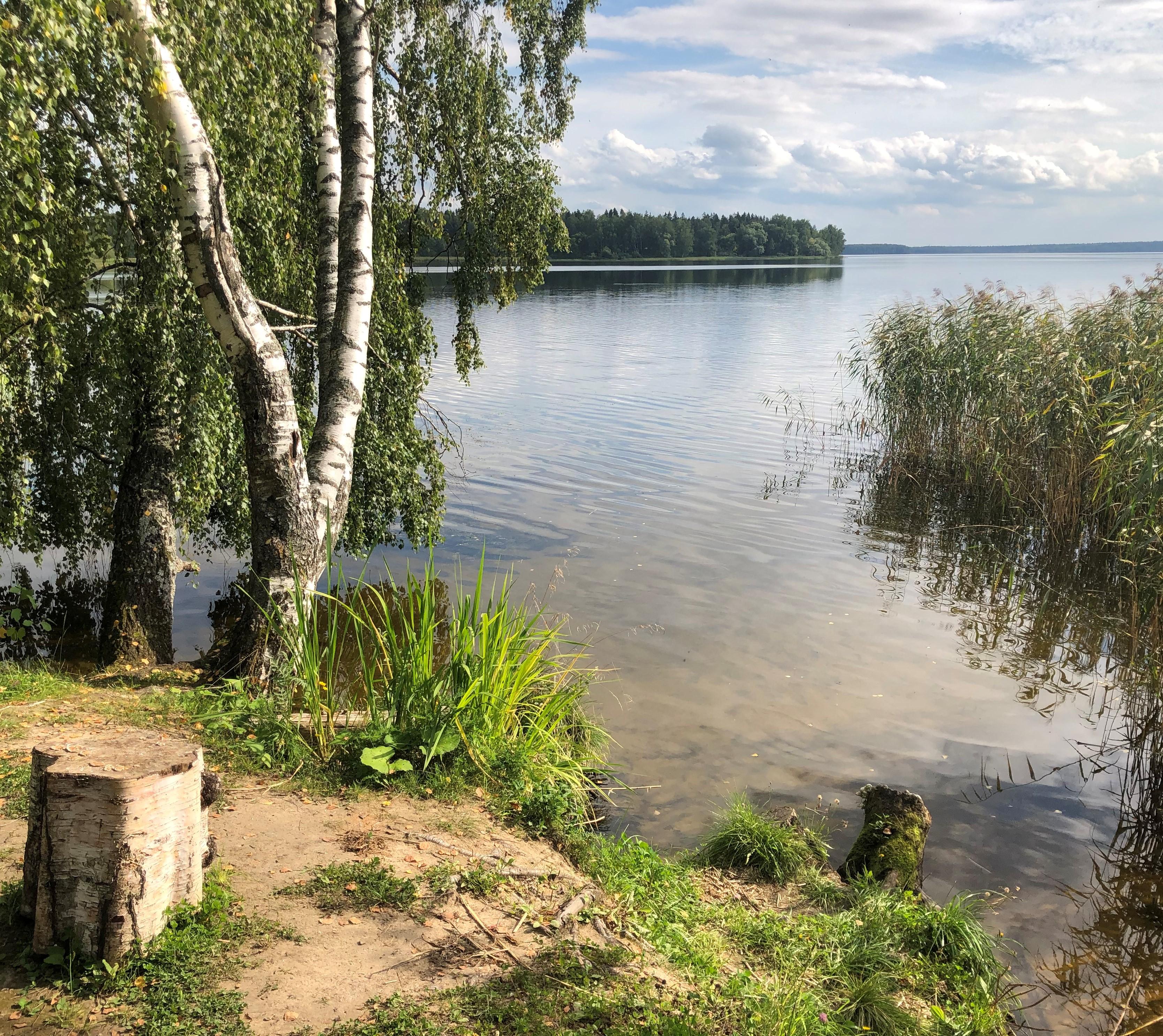 2020-06_IMG_5614 (2).JPG