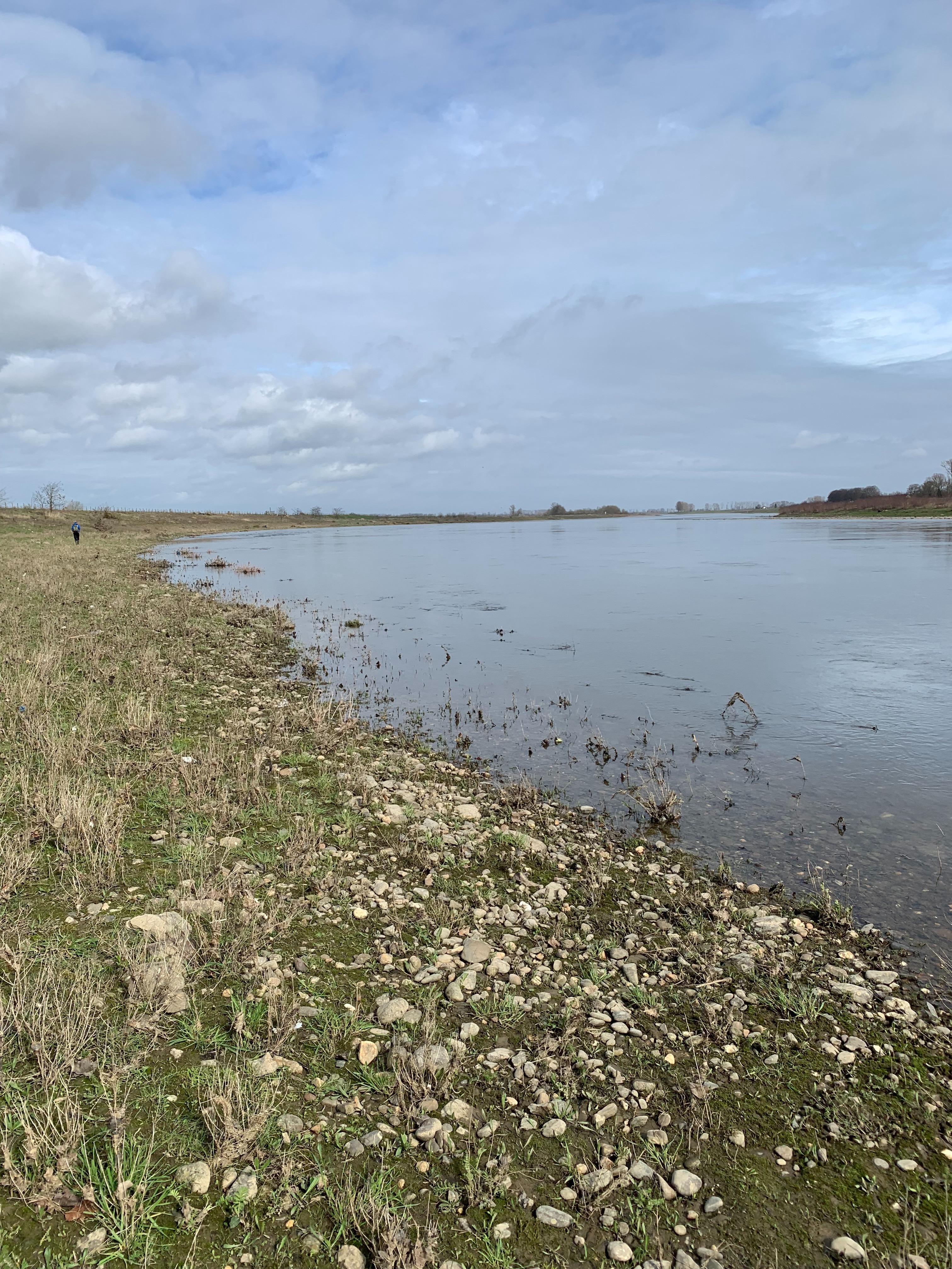 river cleanup Maasband (gemeente Stein)