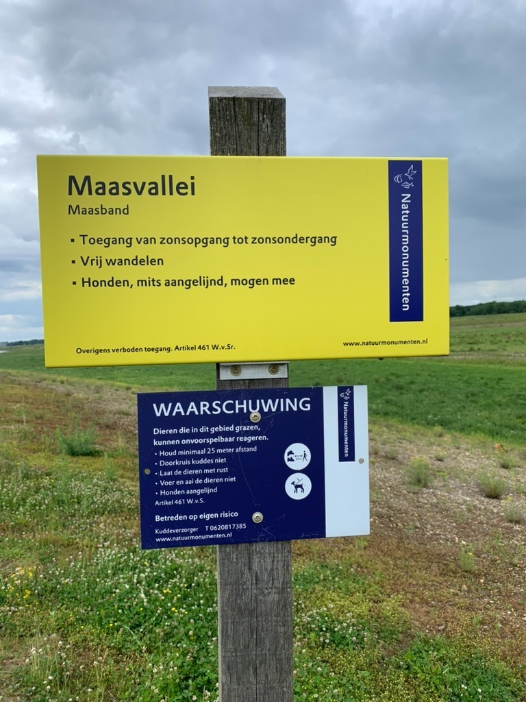 Maasband 2
