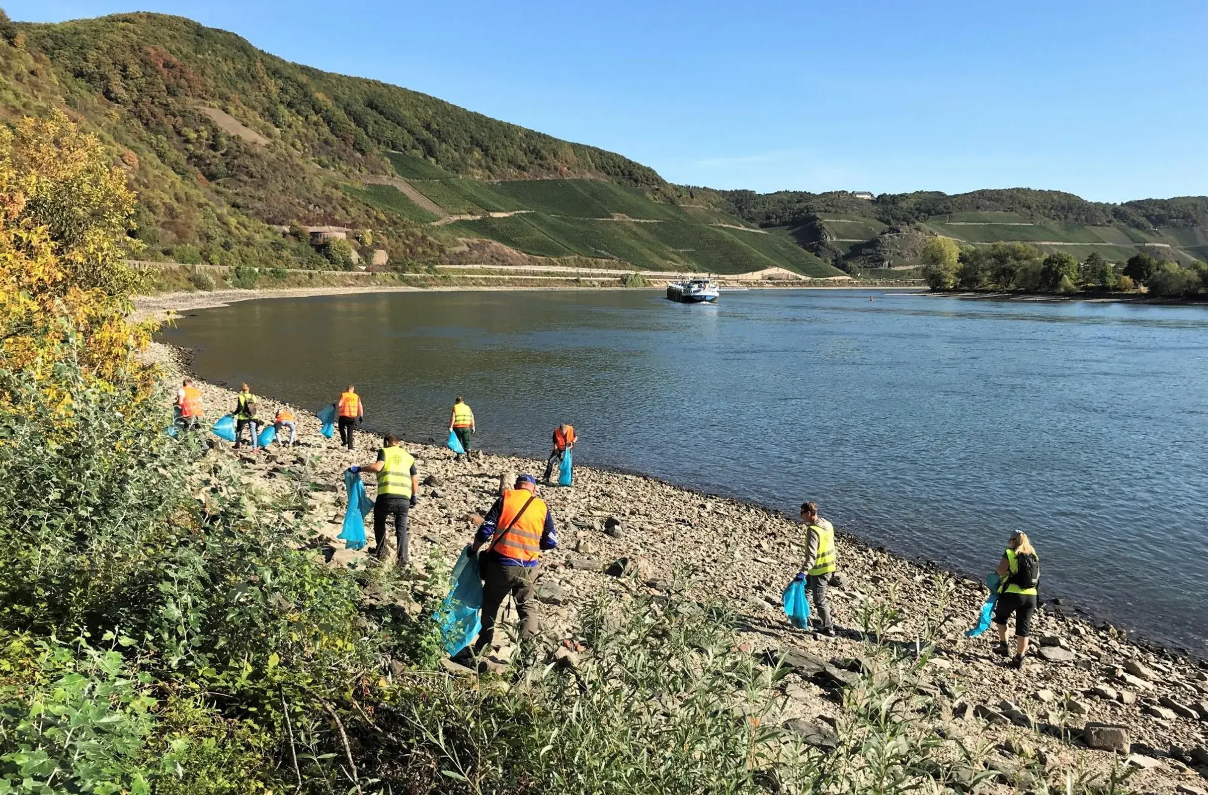 RhineCleanUp_Bopparder_Hamm_c_Juergen_Johann.jpg.webp