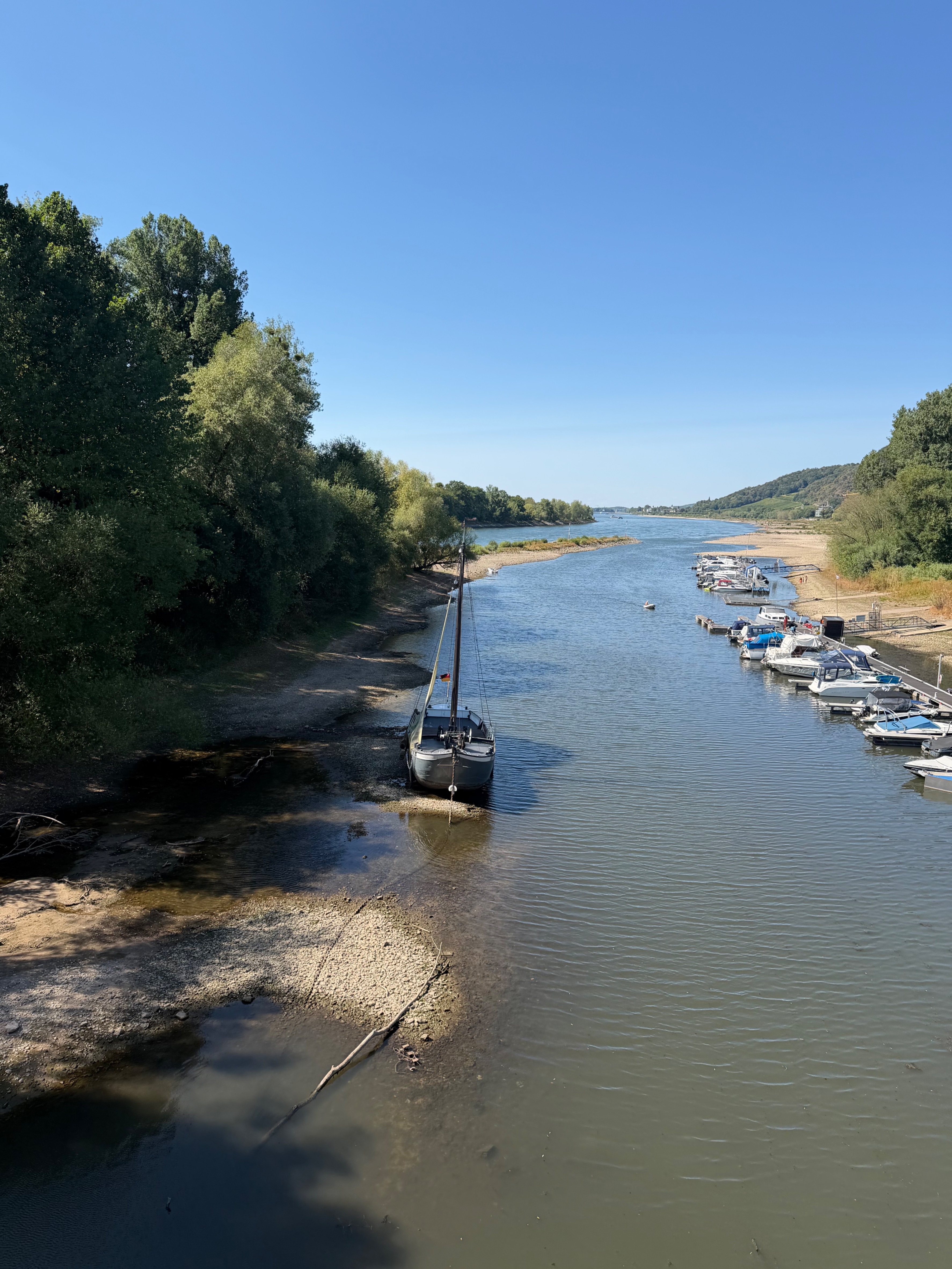 Niedrigwasser CleanUp Bad Honnef