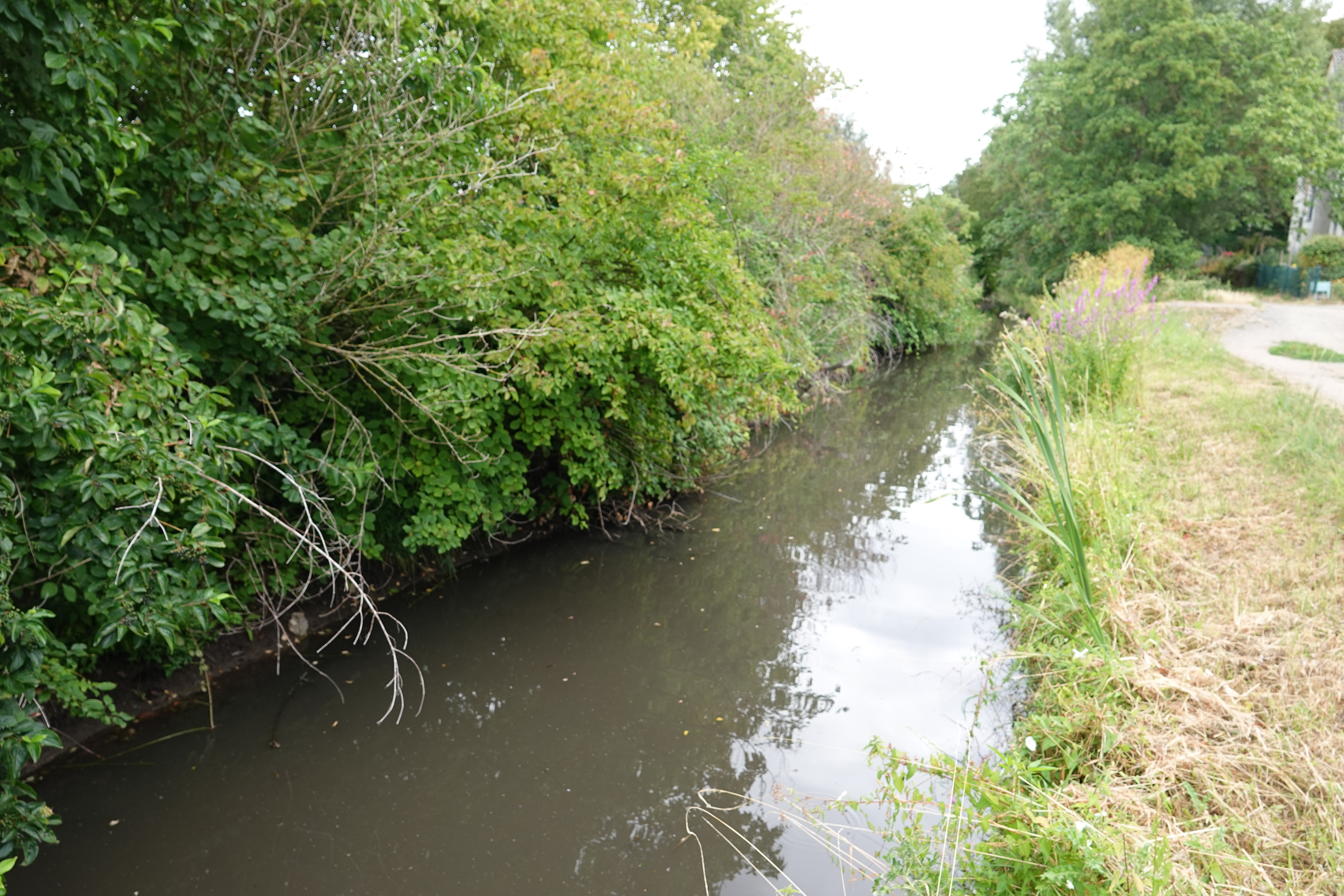Groß-Gerau RhineCleanUp am Clean-Up-Day 
