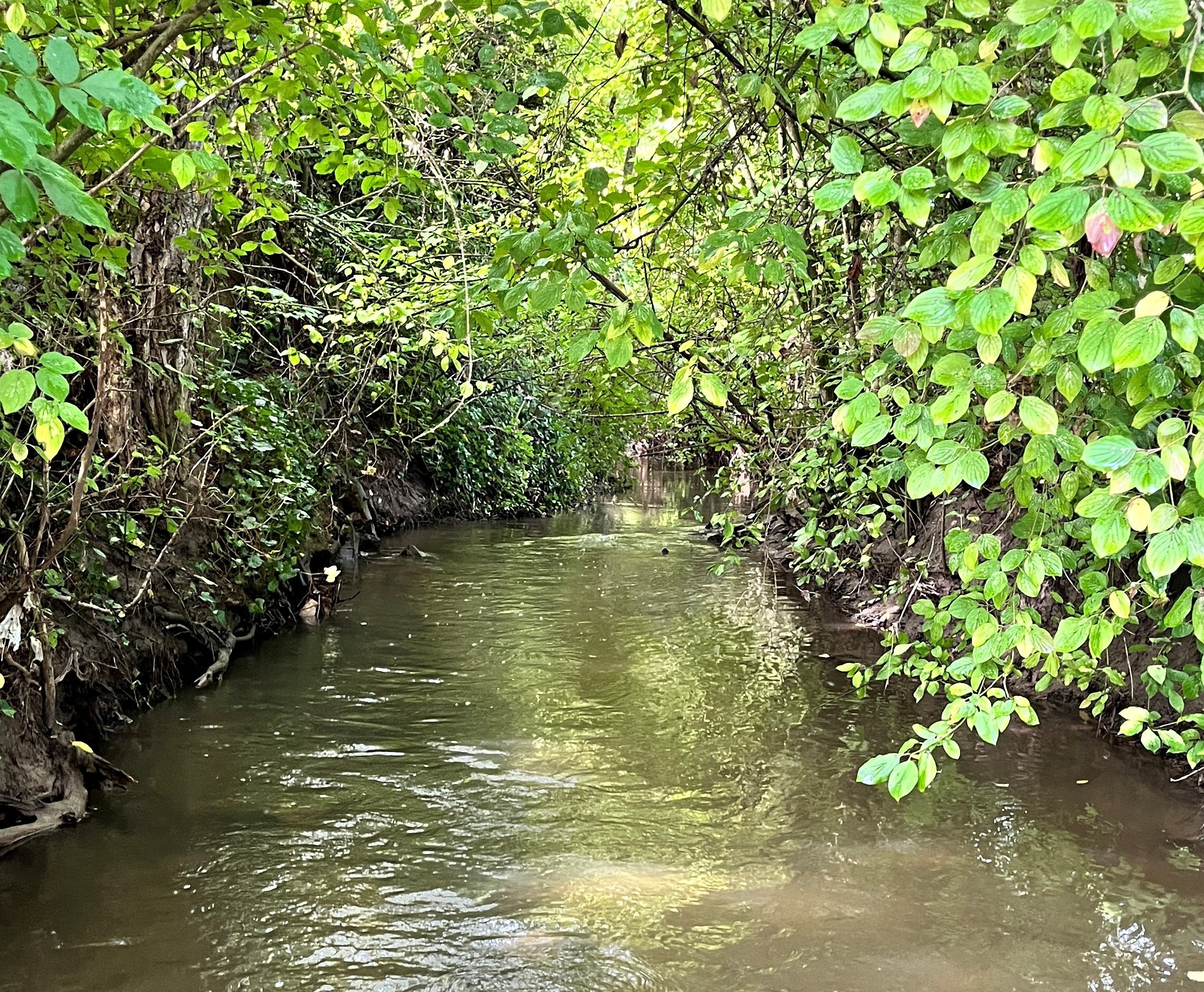SelzCleanUp Gau-Odernheim