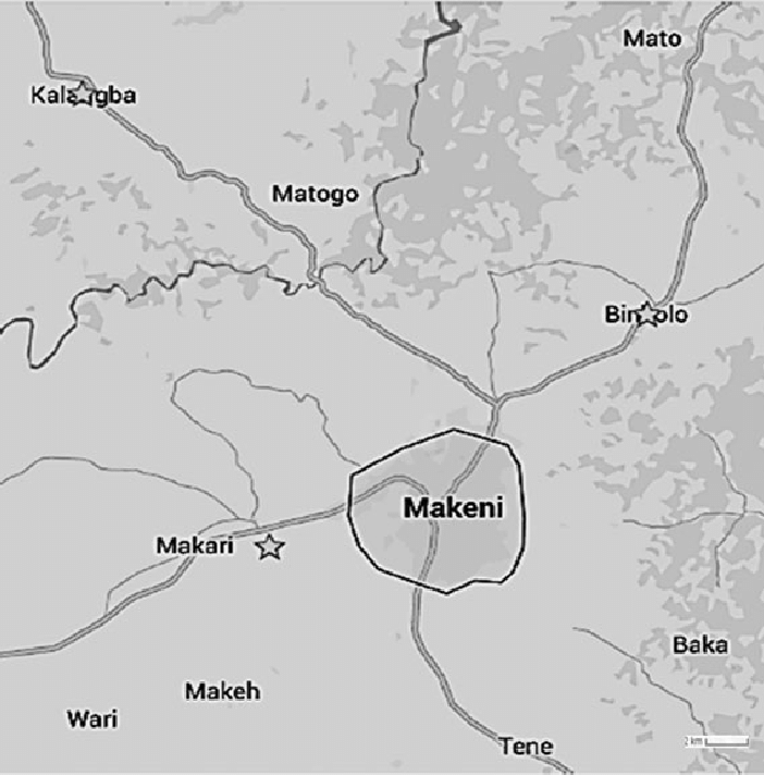  Clean Up Makeni 